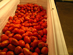 Is this a good use for a chest freezer? chest freezer full of tomatoes