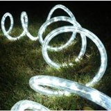 25 ft chasing LED rope lights